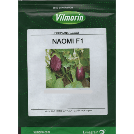 باذيجان حائل أحمر