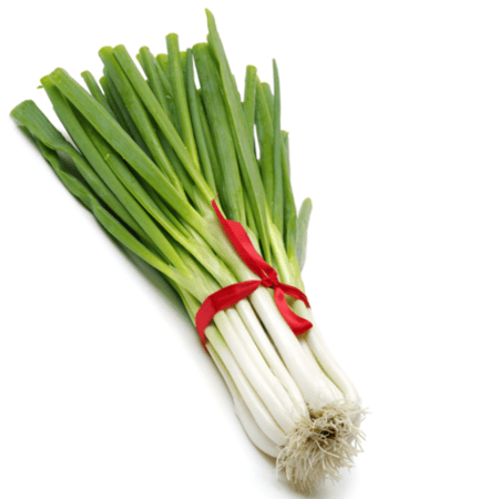 بصل اخضر