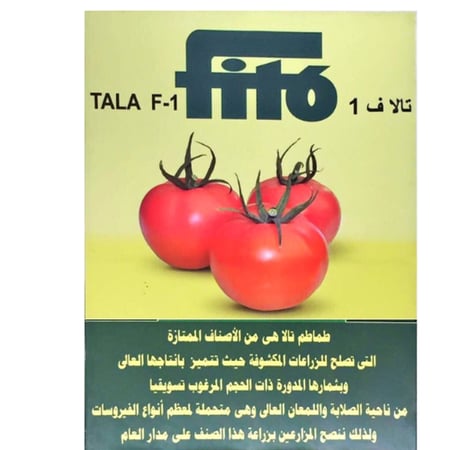 بذور طماطم تالا F1 هجين مكشوف