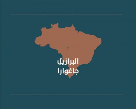 محصول قهوة - البرازيل جاغوارا