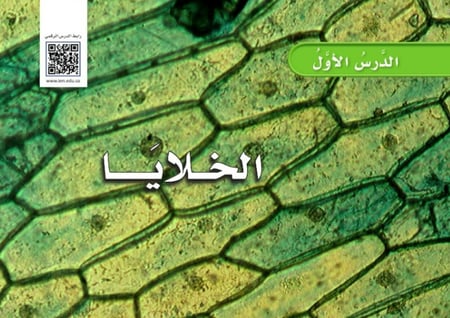 الخلايا (اسود وابيض)
