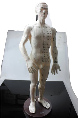 نموذج علاج بالابر الصينى  50 سم