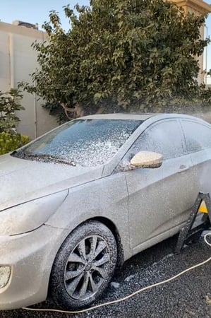 شامبو  السيارات المركز