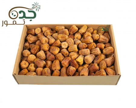 2-مفتل-ملكي-2-مفتل-مجروش