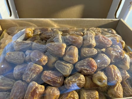 2-مفتل-ملكي-2-جالكسي ملكي