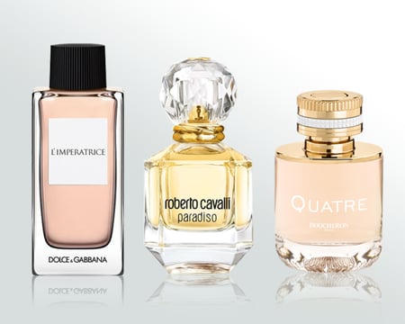 مجموعة السيدة الانيقة من فانيلا