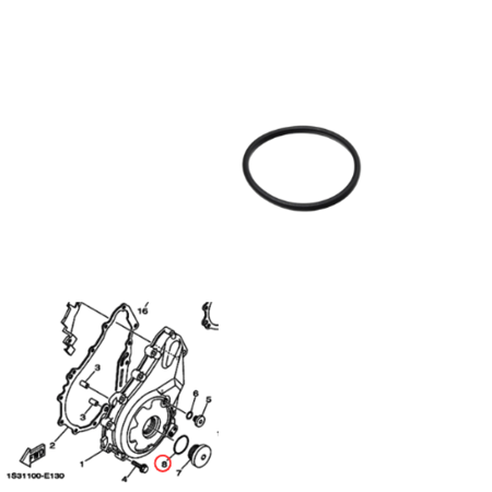 ربلة سدة جرم جانبية رابتر وكالة
