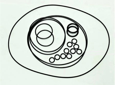 وجة راس تبريد ( قازقيت ) بانشي