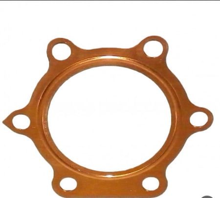 وجة راس بلاستر وكالة