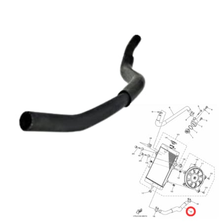 لي "هوز" راديتر رابتر اصلي