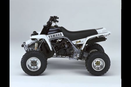 استكرات بانشي 2001 امريكي