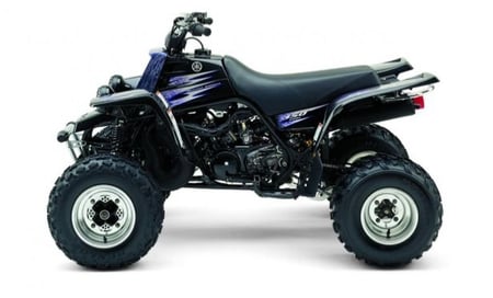 استكرات بانشي 2005 سبشل ادشن امريكي