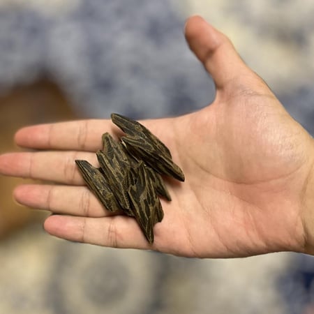 تايقر فتنامي