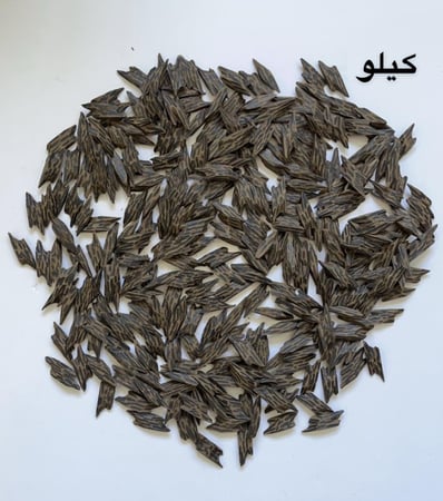 تايقر فتنامي