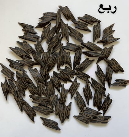 تايقر فتنامي