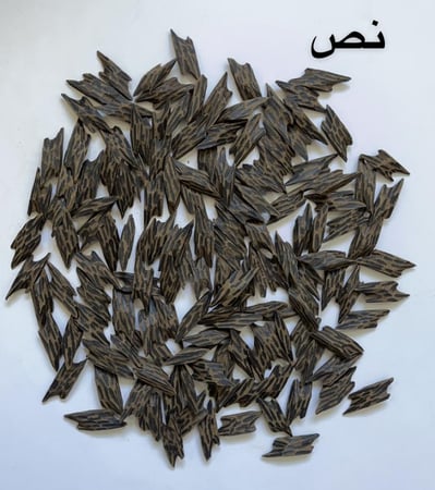 تايقر فتنامي