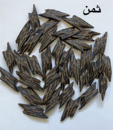 تايقر فتنامي