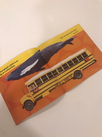 كائنات المحيط ناشونال جيوغرافيك