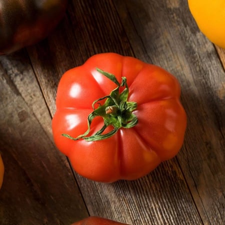 بذور طماطم Floradel موروثة