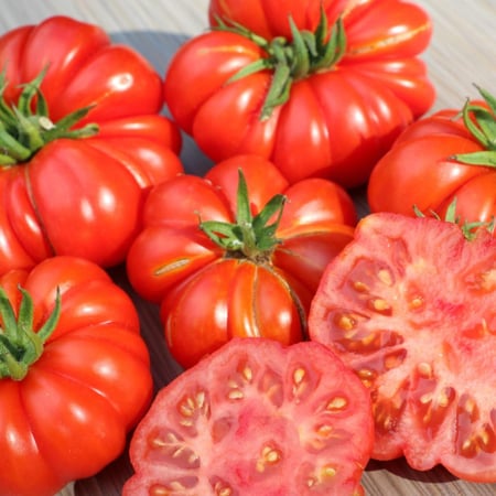 بذور طماطم Costoluto Fiorentino – بيف ستيك إيطالية