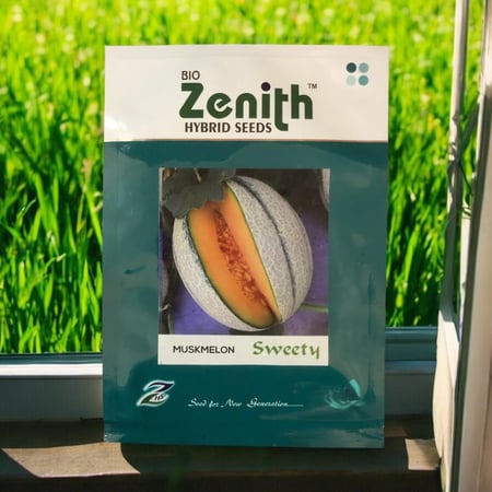 بذور شمام هجين f1 سويتي من Bio Zenith