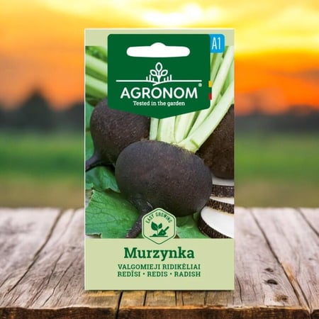 بذور فجل أسود كبير Murzynka