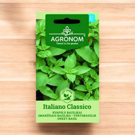 بذور ريحان حلو إيطالي كلاسيكو