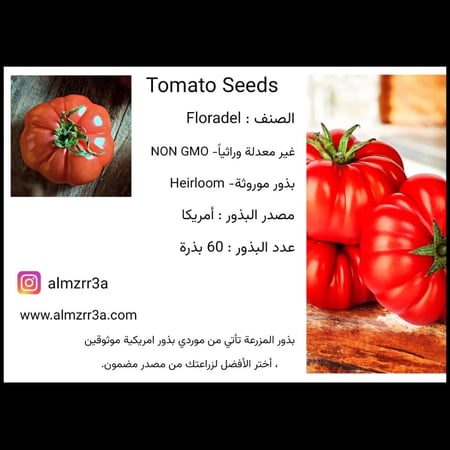 بذور طماطم Floradel موروثة