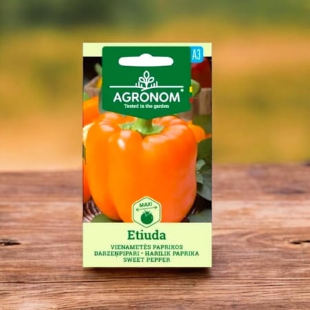 بذور فلفل حلو إيتيودا