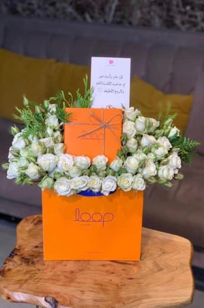 سبحه ثلجي من براند اوب