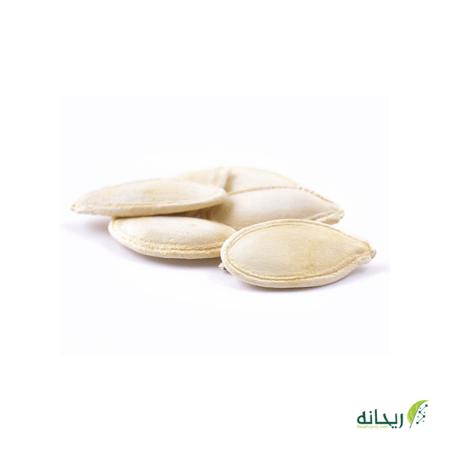 بذر كوسه محمص