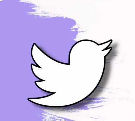 حساب تويتر قديم 2019