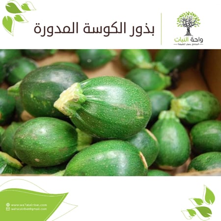 بذور الكوسة المدورة (بذرتين)