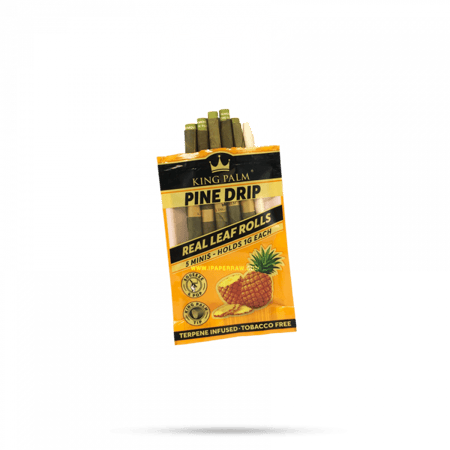 ورق كنج بالم باين دريب ميني