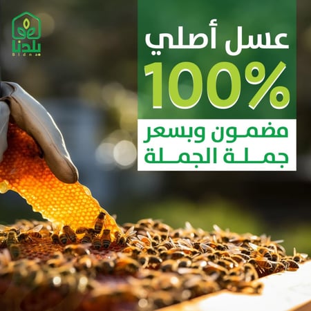 6 كيلو عسل سدر أصلي ومضمون