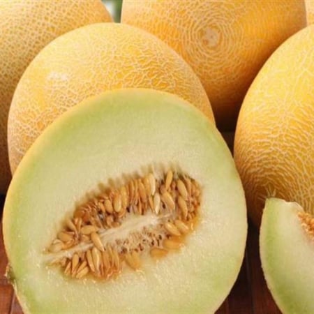 بذور الشمام 50 بذرة