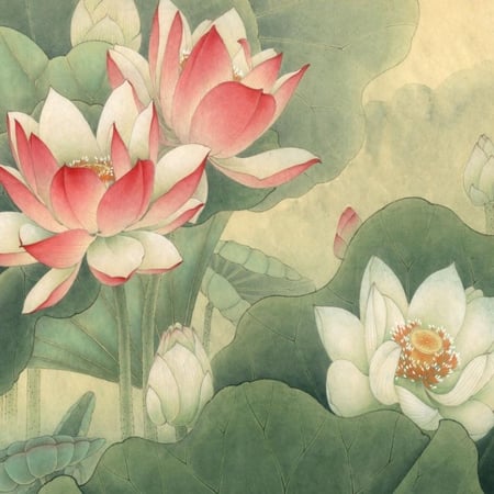 لوحة كبيرة جدًا اللوتس الصينية -إيجار