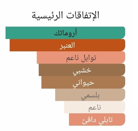 عطر بديل تاون اند كانتري من كلايف كريستيان Town & Country Clive Christian Alternative