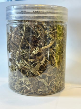 ورق الهندباء