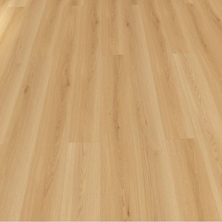 باركيه امازون- 10