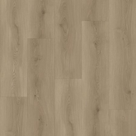 باركيه امازون- 10