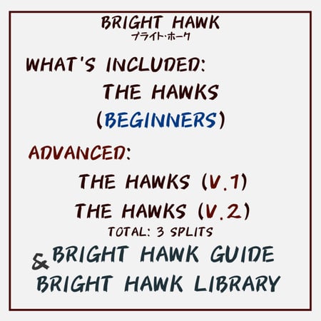 جدول تمارين "THE HAWKS" للرجال