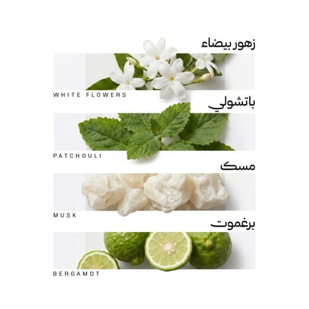 نايس
