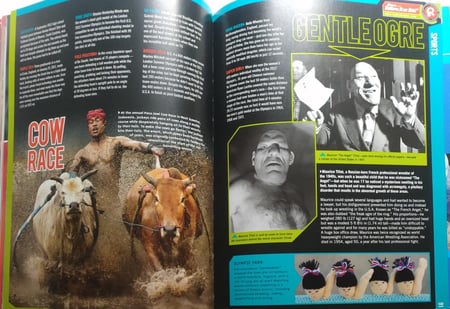 Belive it or not! . hardcover. 253 page . big size