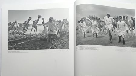 إنجازات ضوئية عمانية . الصور الفائزة للمصورين العمانيين في مسابقات التصوير الضوئي