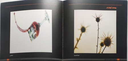 الإبداع الضوئي في منطقة تبوك . من الحجم الصغير