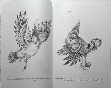 كتاب رسومات فنية باللغة الفارسية