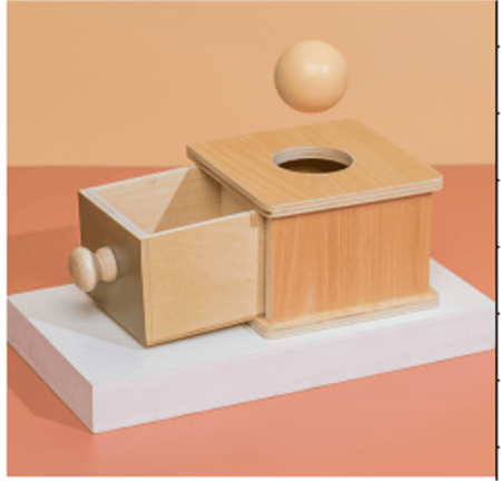 صندوق بقاء الكرة