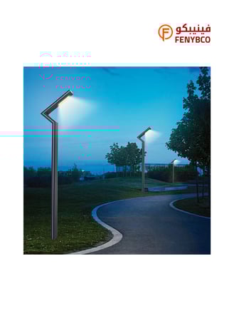 كشاف أعمدة شوارع LED أبيض – 100 واط | ارتفاع 3 متر مقاوم للعوامل الجوية