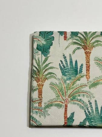 مناديل النخله المميزه ورقية عبوة من  ((٢٤)) حبه